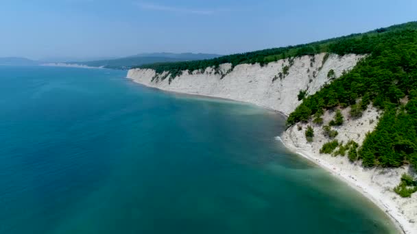 Wysokie czarne morze sosny plaży wiszą na wysokim brzegu Morza Czarnego. — Wideo stockowe