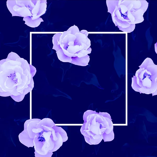 Blue background with flowers and frame for text.