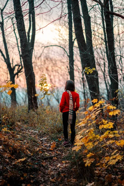 Gün batımında bak