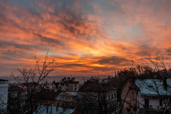 Günbatımı Lviv yüksek castle Park.