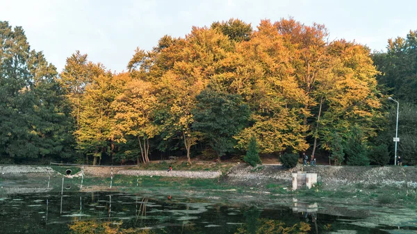 Günbatımı ağaçlarda sonbahar sarı.