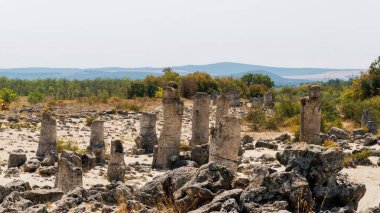 Bitkilerle Manzaralı Eski Taş Sütunlar