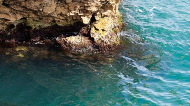 Turkuaz Kıyı Kayalıkları ve Açık Su Güneşli Okyanus Sahil Huzur Denizi Manzarası