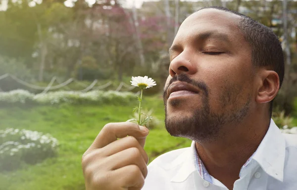 Young american african businessman in informal clothes meditating taking a deep breath with flower.Business yoga and stress free environment.Peace of mind concept.Blurred.