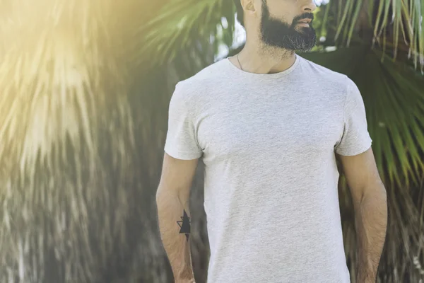 Hipster knappe mannelijke model met baard dragen van grijze leeg t-shirt en een zwarte snapback cap met ruimte voor uw logo of ontwerp in casual stedelijke stijl. Groene palm en cactus tuin op de achtergrond. — Stockfoto