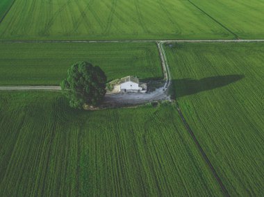 Yeşil ülke ev alanı satır satır, üstten görünüm ile hava dron görünümü.