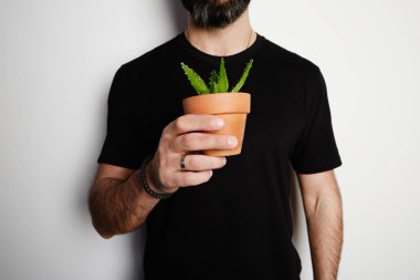 Sakallı adam kaktüs boş beyaz arka plan üzerinde tutarak siyah tshirt