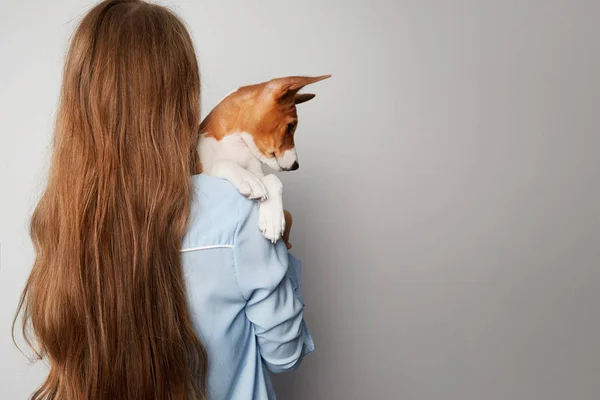 Cute young woman hugging and kissing her puppy basenji dog. Love between dog and owner. Isolated on white background — Stock Photo, Image