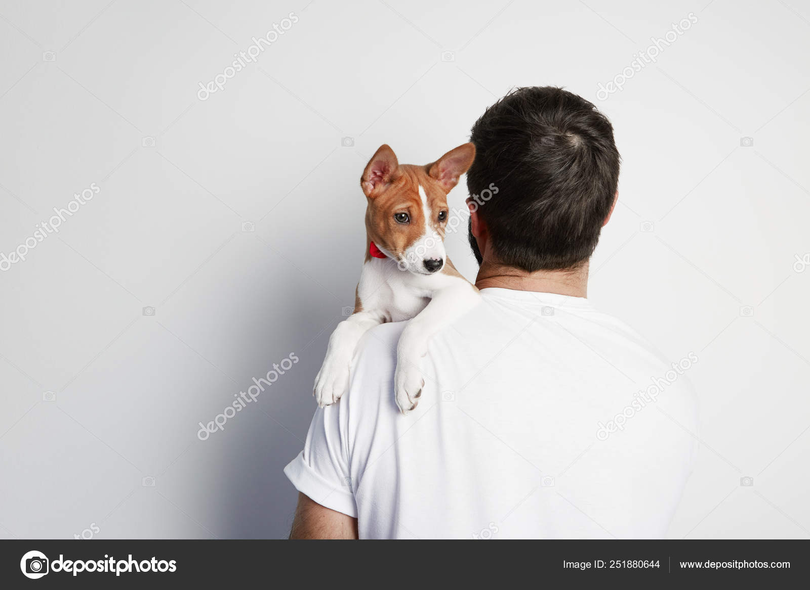 友情の絵はがき 2組計6枚 動物 犬 猫 マルチーズ ペルシャネコ レトロ, image size:1600x1167