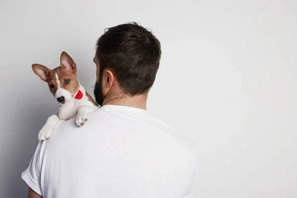 こたつと彼のバセンジーの子犬を抱いてハンサムな男を閉じて白い背景に対して友情. — ストック写真