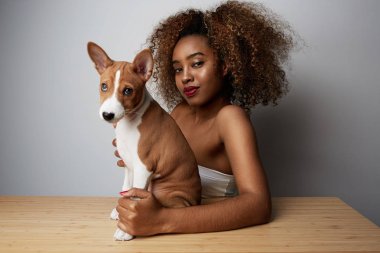 Afro saçlı Amerikalı Afrikalı kadın onu köpek basenji köpek sarılma. Köpek ve sahibi arasındaki aşk. Beyaz arka planda