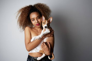 Onu köpek basenji köpek sarılma afro saçlı yakışıklı siyah Afrikalı kadın. Köpek ve sahibi arasındaki aşk. Beyaz arka planda
