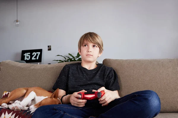 Concentraited young boy playing video game console seated on a sofa with basenji dog puppy sleeping close in living room at home