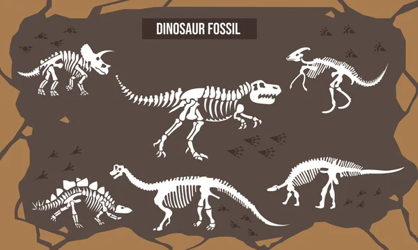 ภาพวาดเวกเตอร์ของรอยเท้าไดโนเสาร์ — ภาพเวกเตอร์สต็อก
