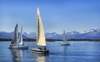 Yelken, Yelkenli mavi bulutlu gökyüzü ve beyaz yelken. Molde Norveç, Europe