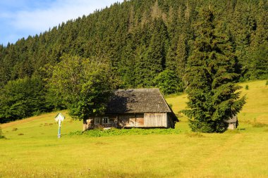 Dağları, güzel manzara, güzel dağ manzarası, Karpat Dağları, doğada bir köy dağlarda.