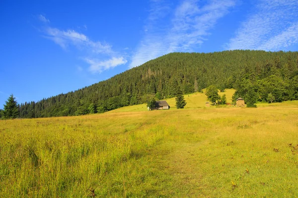 Natur in den Bergen, schöne Landschaft, schöne Berglandschaft, die Karpaten. — Stockfoto