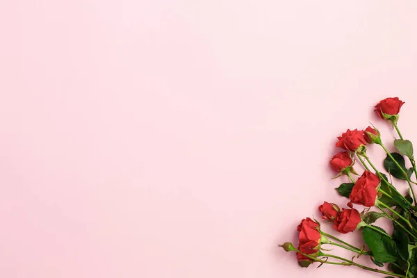Flores roxas e cone de gelado verde no fundo rosa. Depósito plano . — Fotografia de Stock