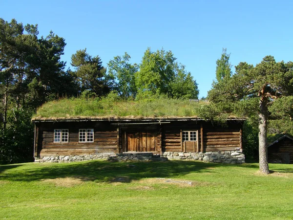 Norwegisches typisches Grasdach-Landhaus wie in einem Zauberwald — Stockfoto