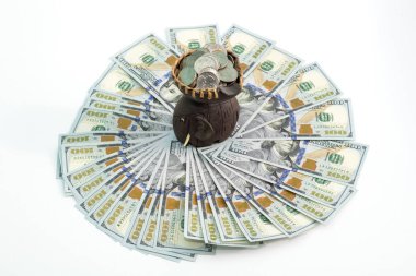 Fil dolar. Yüz dolarlık banknotlar. Seyahat ve dinlenme için para