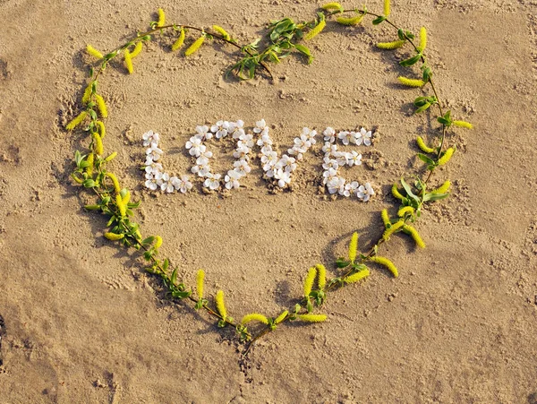 Liefde word getrokken op het zand van het strand en de inscriptie liefde — Stockfoto