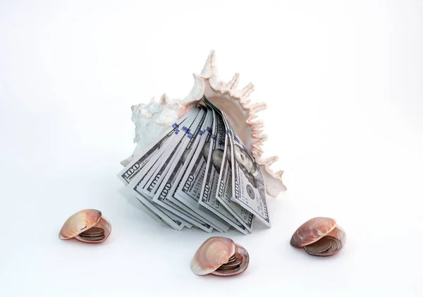 Money, dollars lie under the money shell surrounded by a variety of shells on white background. Hundred dollar bills.