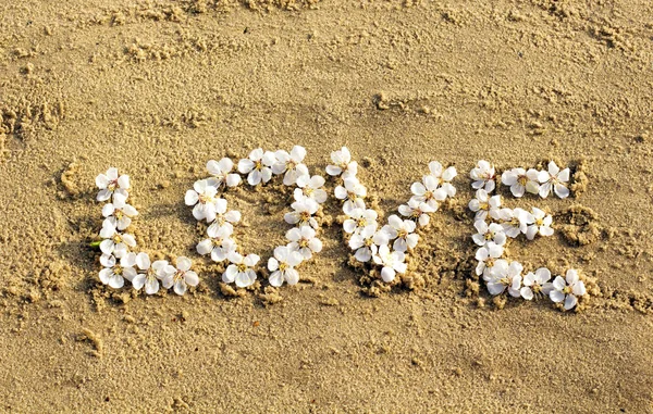 Liefde word getrokken op het zand van het strand en de inscriptie liefde — Stockfoto