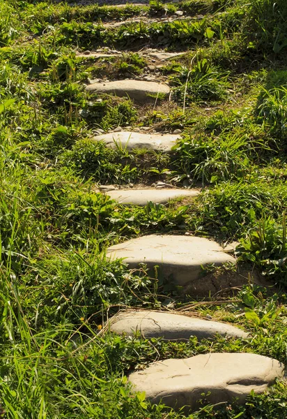 Kamene chodník v zahradě meditativní kamene chodník. — Stock fotografie