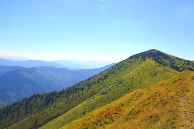 Dağlardaki doğa, güzel manzara, güzel dağ manzarası, Karpat Dağları..