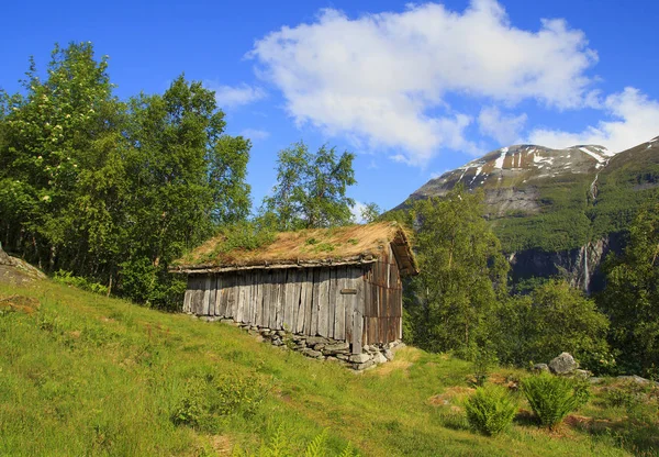 Altes Holzhaus mit Grasdach in Norwegen — Stockfoto
