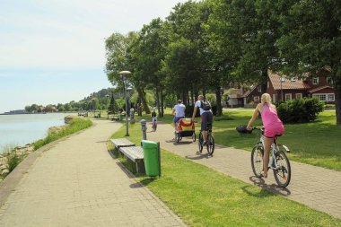 Arkadan bir yaz günü bisiklet sürme aile görünüşü