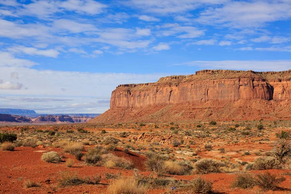 Grand espace désertique ouvert avec une végétation printanière abondante avec ciel bleu et montagnes rouges au loin, États-Unis — Photo