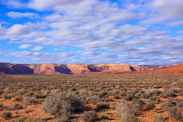 Έρημο τοπίο στην άνοιξη, Utah, ΗΠΑ. — Φωτογραφία Αρχείου