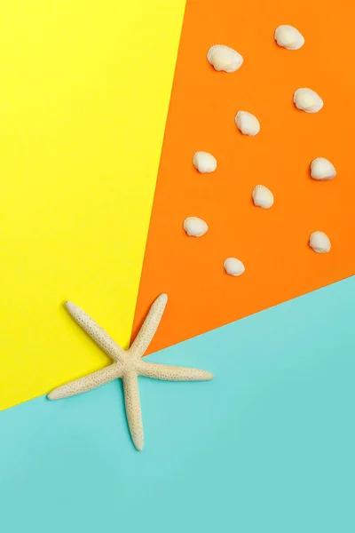 Una estrella de mar grande sobre fondo colorido y muchas conchas marinas pequeñas sobre fondo naranja. Vista superior. Hora de verano . — Foto de Stock