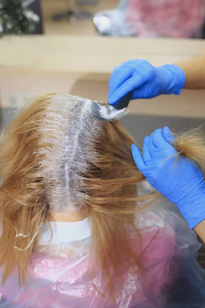 Process of dyeing hair at beauty salon, closeup