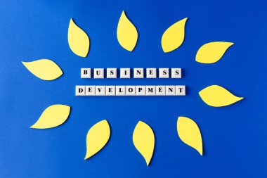 İş geliştirme - plastik küplerin mavi arka plan metni.