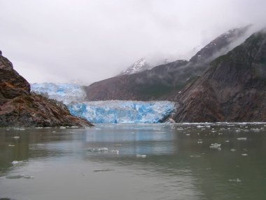Tracy kol fiyort buzul terör yaban hayatı. Güneydoğu Alaska,