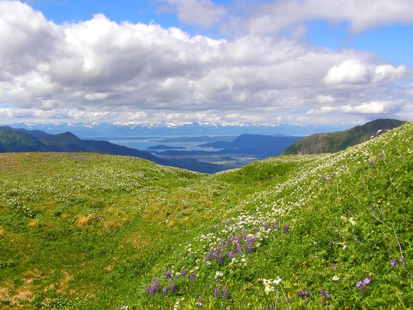 Natur in alaska im Sommer in der Stadt Juneau — Stockfoto