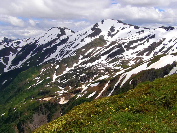 Natur in alaska im Sommer in der Stadt Juneau — Stockfoto