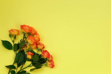 Güzel taze canlı turuncu gül buketi arka plan bir yıldönümü, doğum günü veya anneler günü kutlamak için kırmızı ile tinged