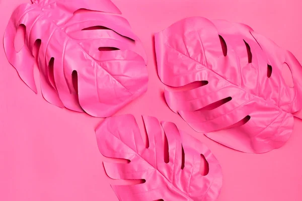 Three painted tropical palm leaf of monstera. fashion pink concept. minimalism. Summer concept.