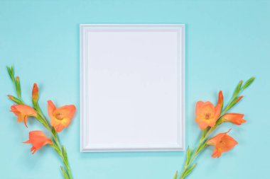 Turuncu gladioli çiçekli beyaz çerçeve. Kartpostal
