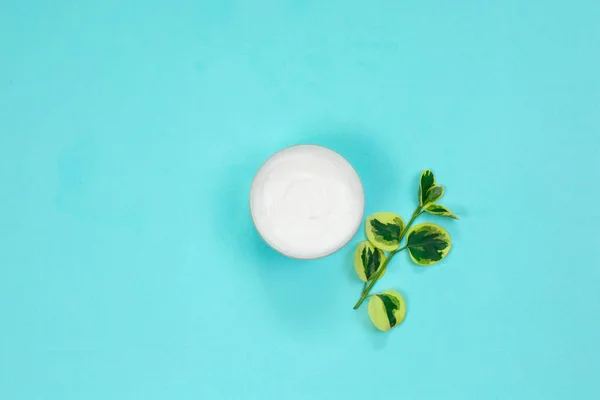 Envase de crema cosmética con hojas verdes. crema corporal — Foto de Stock