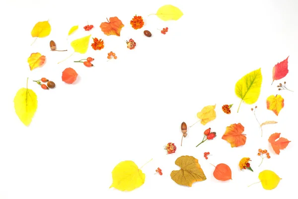 Composition d'automne. Cadre fait de feuilles d'automne — Photo