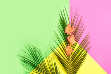 Yeşil tropikal yapraklar renk arkaplan üzerinde palmiye ve çiçekler yazı için alan. Üst manzara, düz yatış. Sanat. Güneşli yaz sakin hayat. Bright Sweet moda tarzı. Gerçeküstü, Minimal Fun.