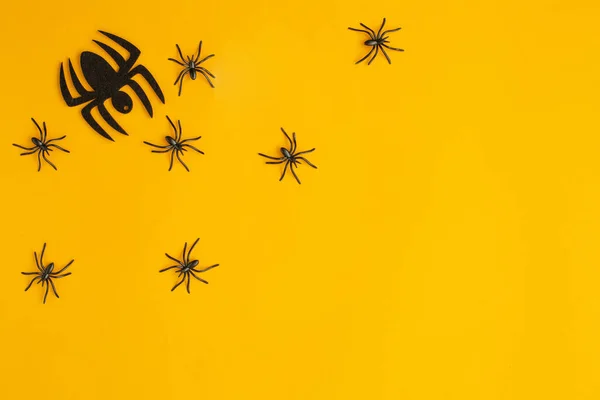 Halloween decorations with spiders on orange background. — Stock Photo, Image