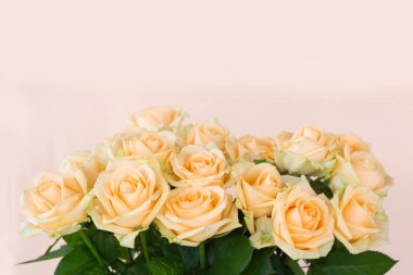 Açık arkaplanda yumuşak bej, taze çiçek açan bir gül çerçevesi. Üst görünüm, boşluğu kopyala. Çiçek kartı. Tatil kavramı