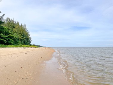 Ağaçları, denizi ve bulutları olan güzel sahil manzarası.