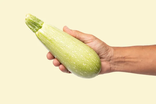 Male hand holding a fresh zucchini isolated on light green background cut out. High quality photo