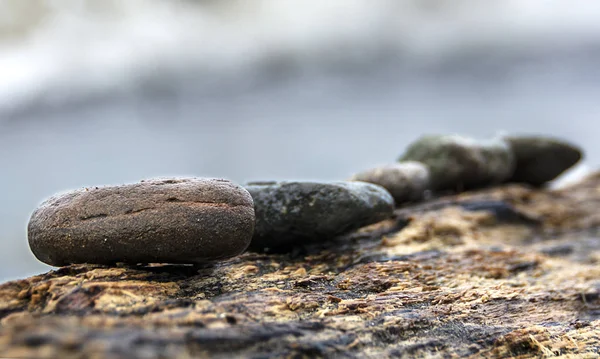 Muscheln Und Kieselsteine Meer — Stockfoto